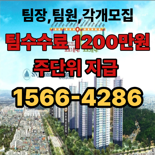 석남역 서부여성회관역 아파트 팀수수료1200/주1회수수료 현장 이미지