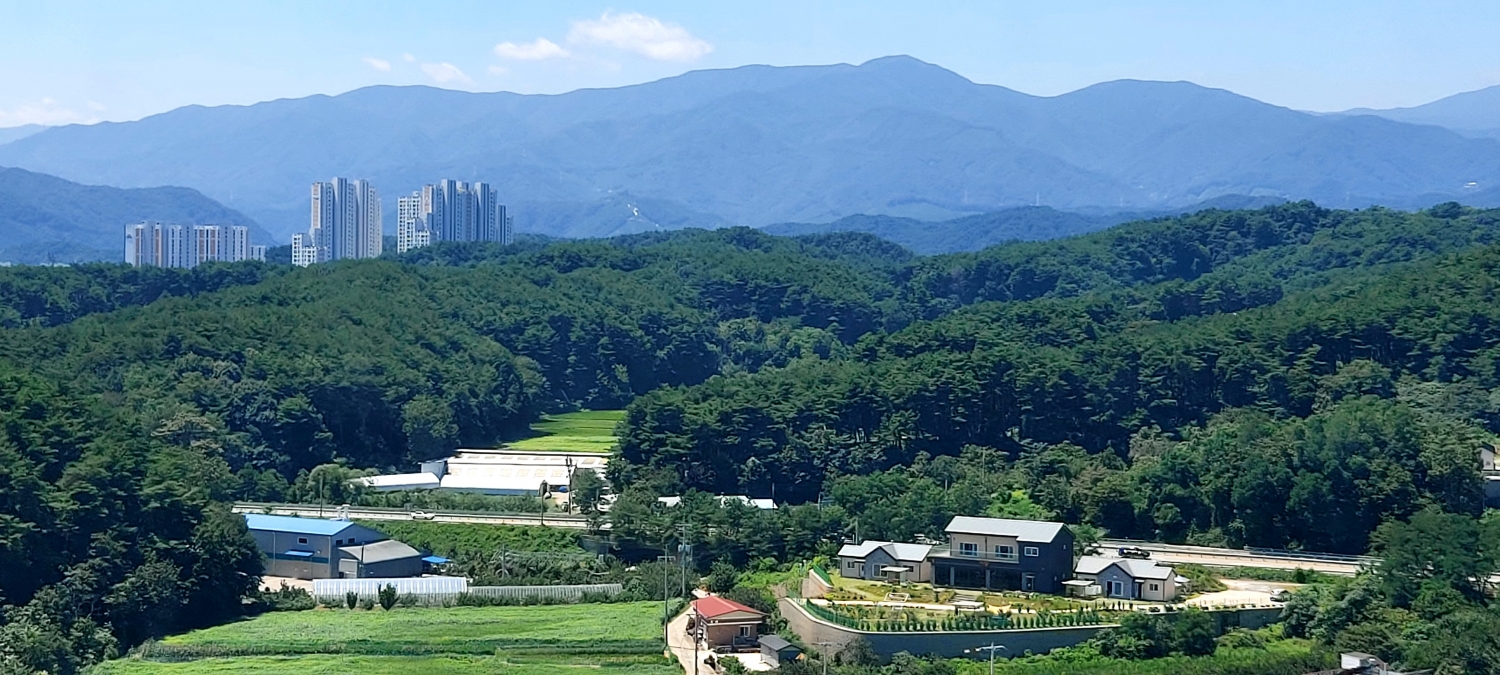 이미지 3